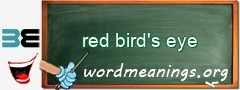 WordMeaning blackboard for red bird's eye